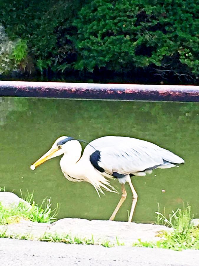 ユエンシェキヨミズヴィラ 京都市 エクステリア 写真